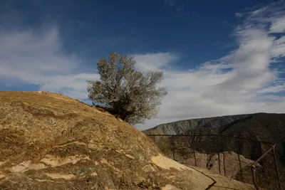 DSC_6272 (Large).JPG